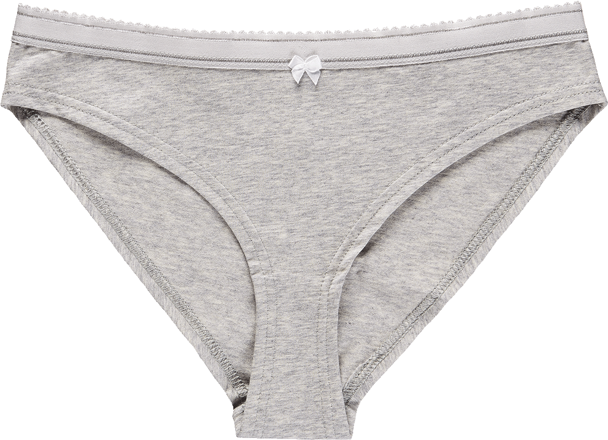 *bikini Slip Heather Grey - Bikini (1350x1000), Png Download