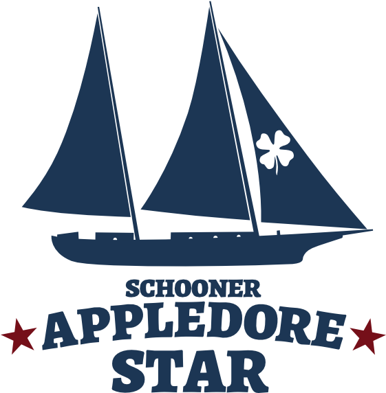 Sailing Key West Year Round - Sail (560x580), Png Download