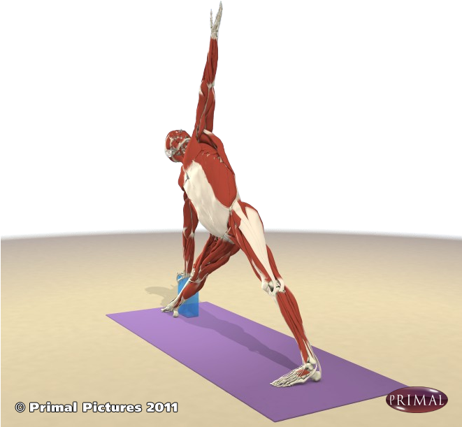 Search Products - Basketball Moves (660x660), Png Download