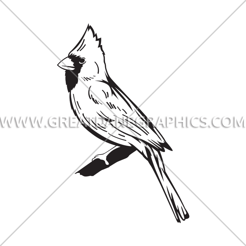 Graphic Black And White Library Cardinal Svg Line Drawing - Cardinal Logo Bird White And Black (825x825), Png Download