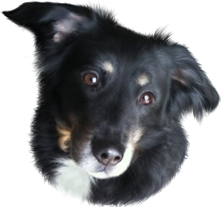 Tasca Memorial Art - Companion Dog (710x665), Png Download