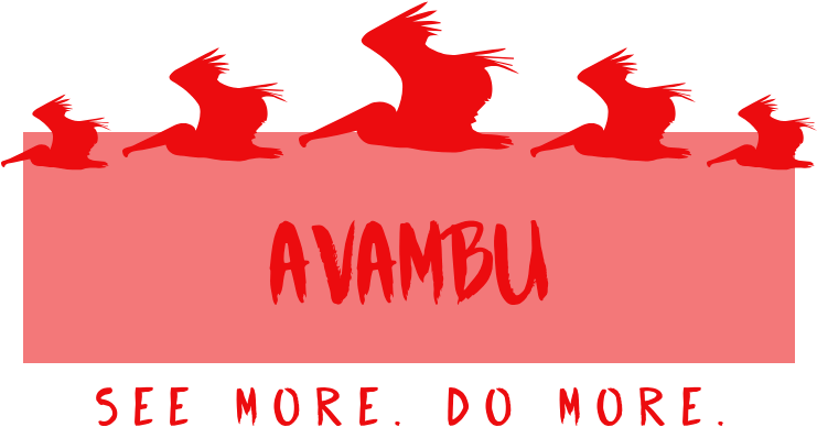 Graphic Design (1080x1080), Png Download