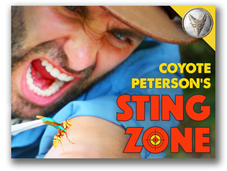 Join Coyote Peterson On His Excitingly Painful Climb - Coyote Peterson (768x576), Png Download