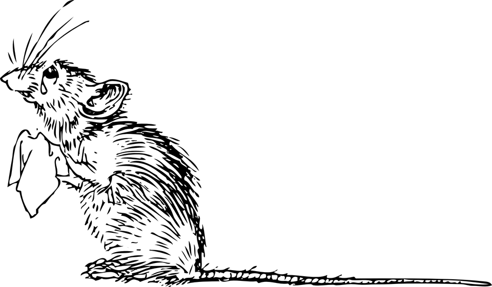 Sad Mouse (960x561), Png Download