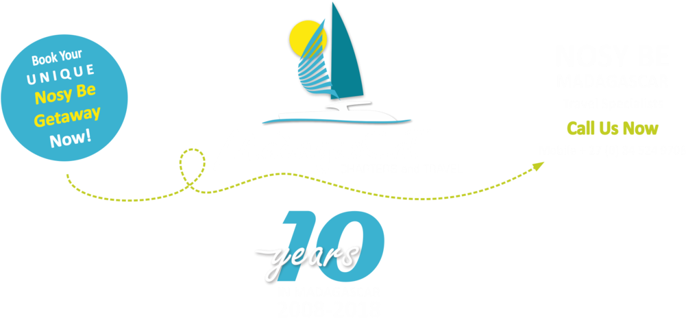 Madagascat Ten Years Logo White (1000x490), Png Download