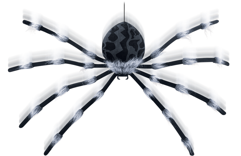 Large Shaking Spider - Holiday (975x650), Png Download