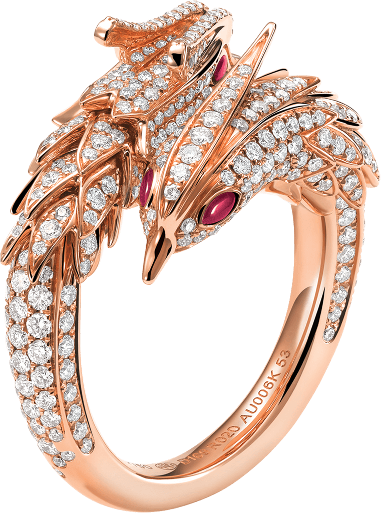 Fantastic Beasts Ring (1600x1600), Png Download