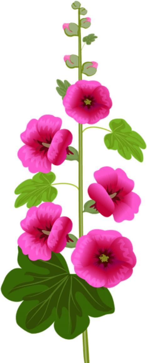 Free Png Purple Flower Png Images Transparent - Feliz Martes De Corazones (480x1166), Png Download