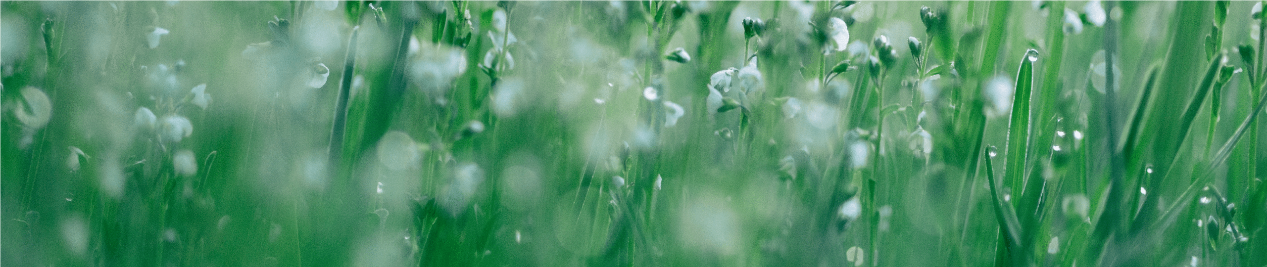 Download Hd Jessica Wiley New Islamic Dpz Transparent Png Image Nicepng Com