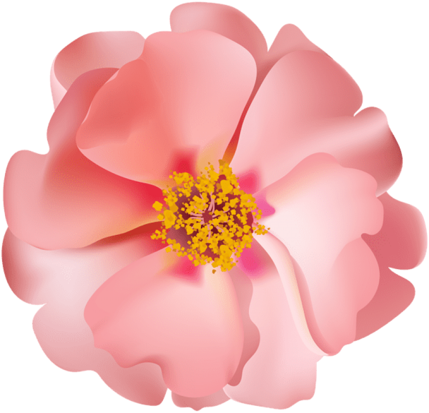 Free Png Rosebush Flower Png Images Transparent - Clip Art (850x818), Png Download