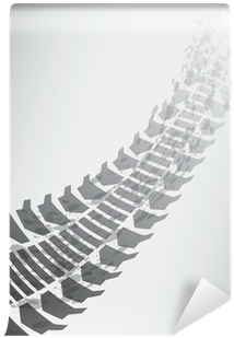 Tire (400x400), Png Download