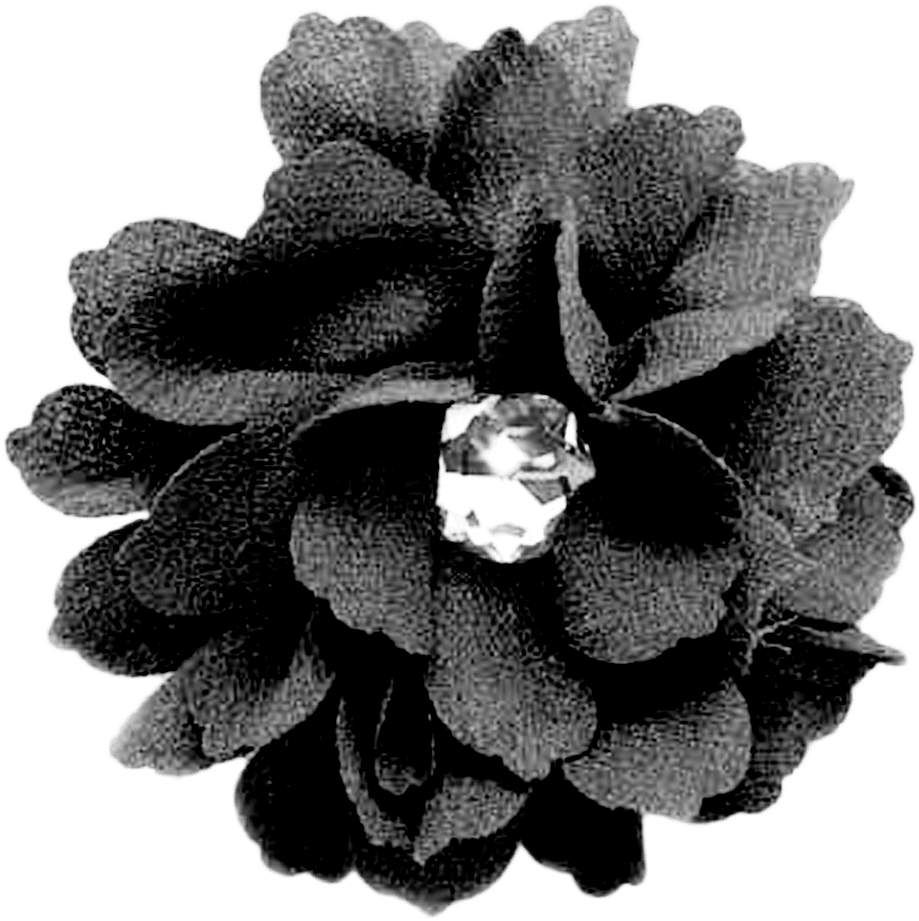Black Flower - Black Flower Png (1000x1000), Png Download