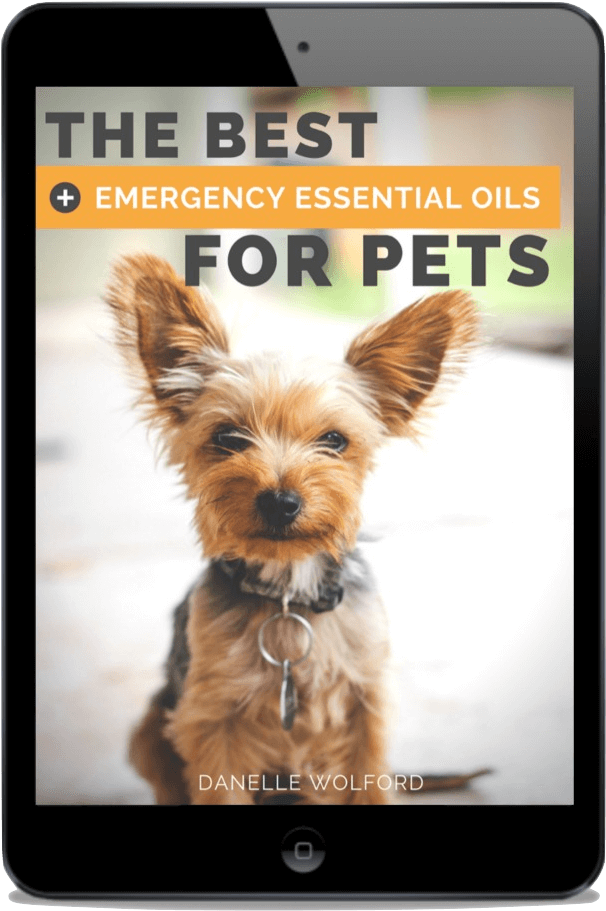 Click Here To Watch My - Essential Oil (1000x1000), Png Download