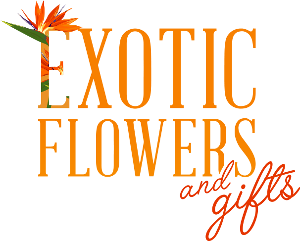 Exotic Flowers And Gifts - Calligraphy (800x500), Png Download