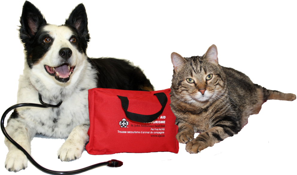 Are You Prepared For A Pet Emergency - Pet First Aid (1173x623), Png Download