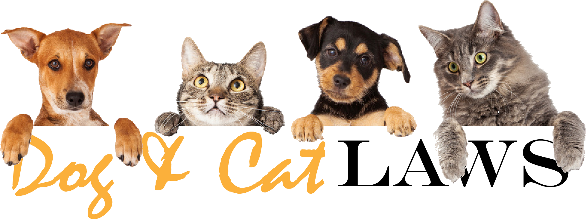 Cats And Dogs In A Row (2480x926), Png Download