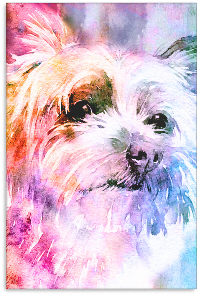 Yorkie Canvas P032 - Yorkshire Terrier (1024x1024), Png Download