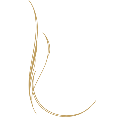 Pinstripe Designs Pinstrpe - Line Art (400x399), Png Download