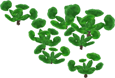 Waterhyacinth German13 - Wiki (480x480), Png Download