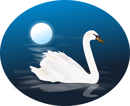 Cygnus Swan Animal Bird Blue Moon Nature N - Swan Clipart (418x340), Png Download