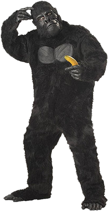 Gorillah-bf - Gorilla Costume (300x449), Png Download