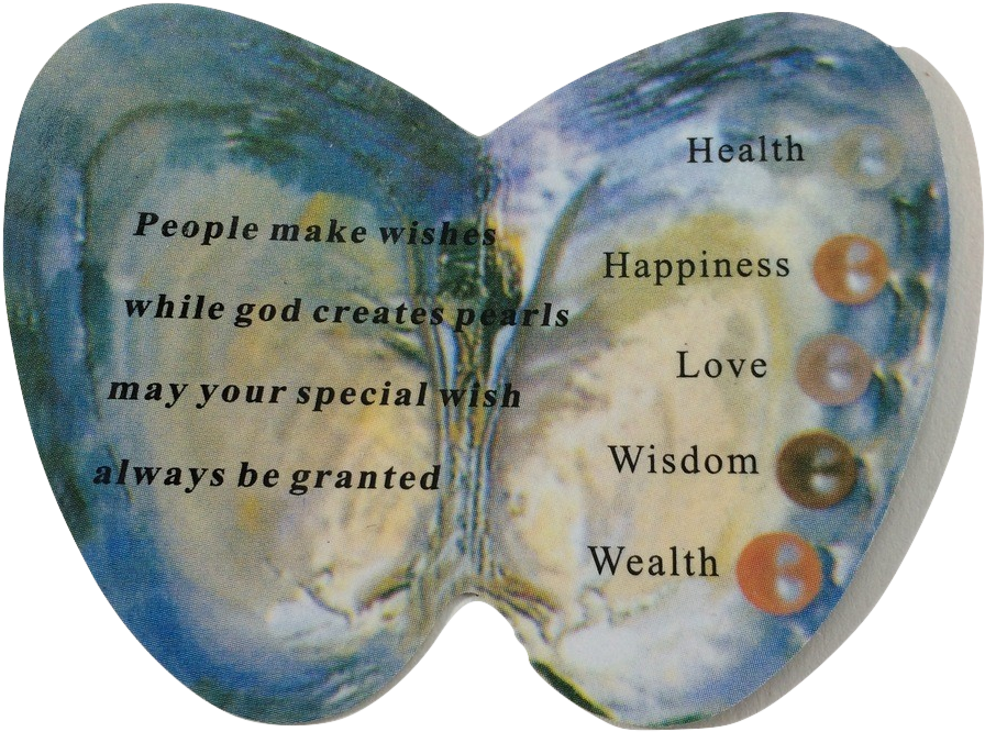 Sand Dollar Pearl (982x730), Png Download