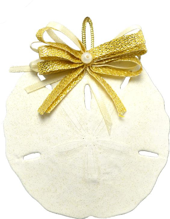 Round Sand Dollar Christmas Holidays Ornament 3-4" - Round White Sand Dollar Christmas Holidays Ornament (1100x1100), Png Download