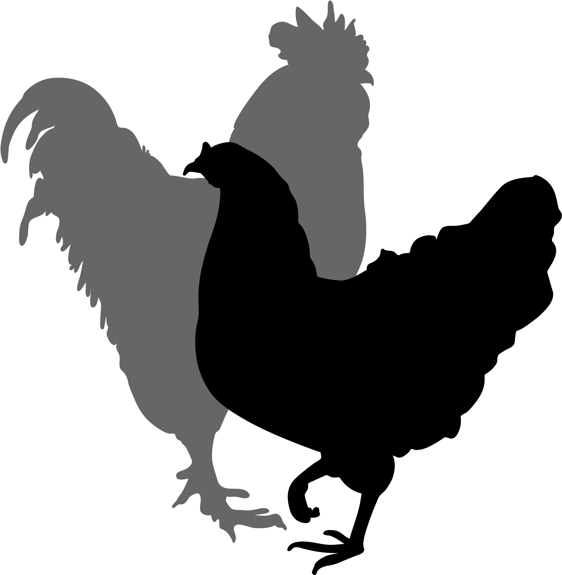 Filerooster And Hen Silhouette - Rooster And Hen Silhouette (1128x1152), Png Download