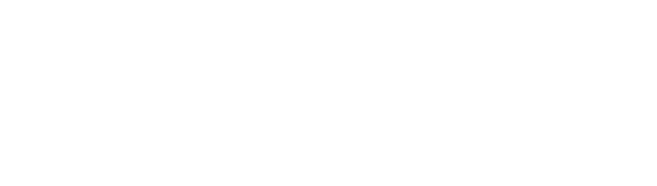 Blackbirdrevolt Secondarylogoƒ White - Twitter White Icon Png (1000x306), Png Download
