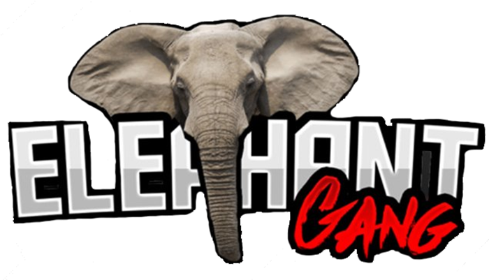 Green Elephants: How Internal Service Providers Can (700x700), Png Download