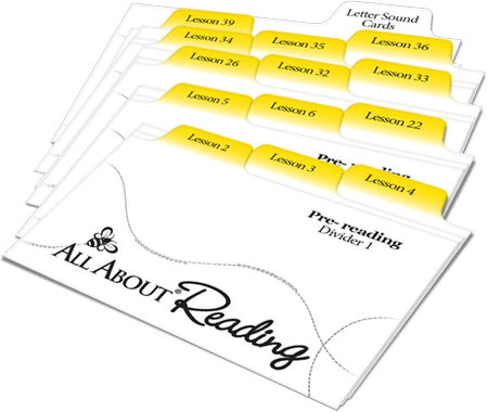 All About Reading Pre-reading Divider Cards - Document (450x380), Png Download