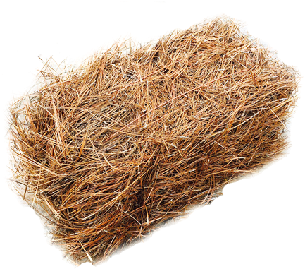 Pine Straw Png - Hay (600x389), Png Download