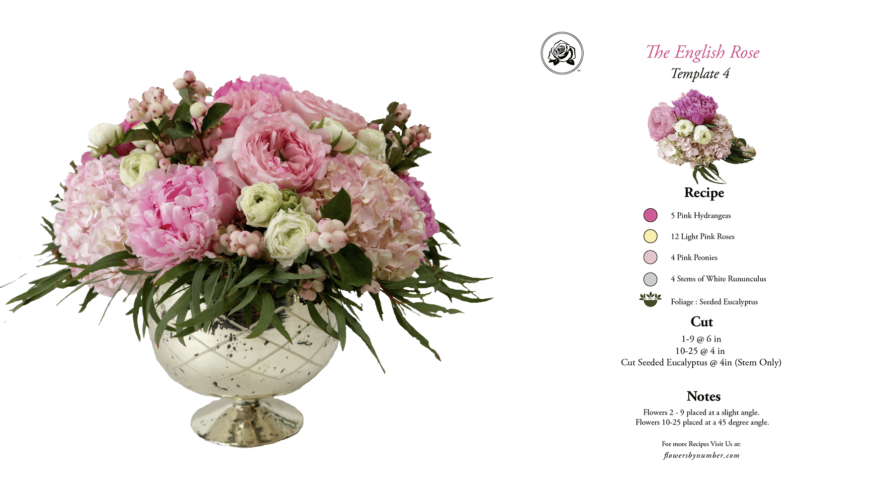 Fbn Arrangement And Recipe 0017 Pink English Rose - Recipe (1800x1000), Png Download