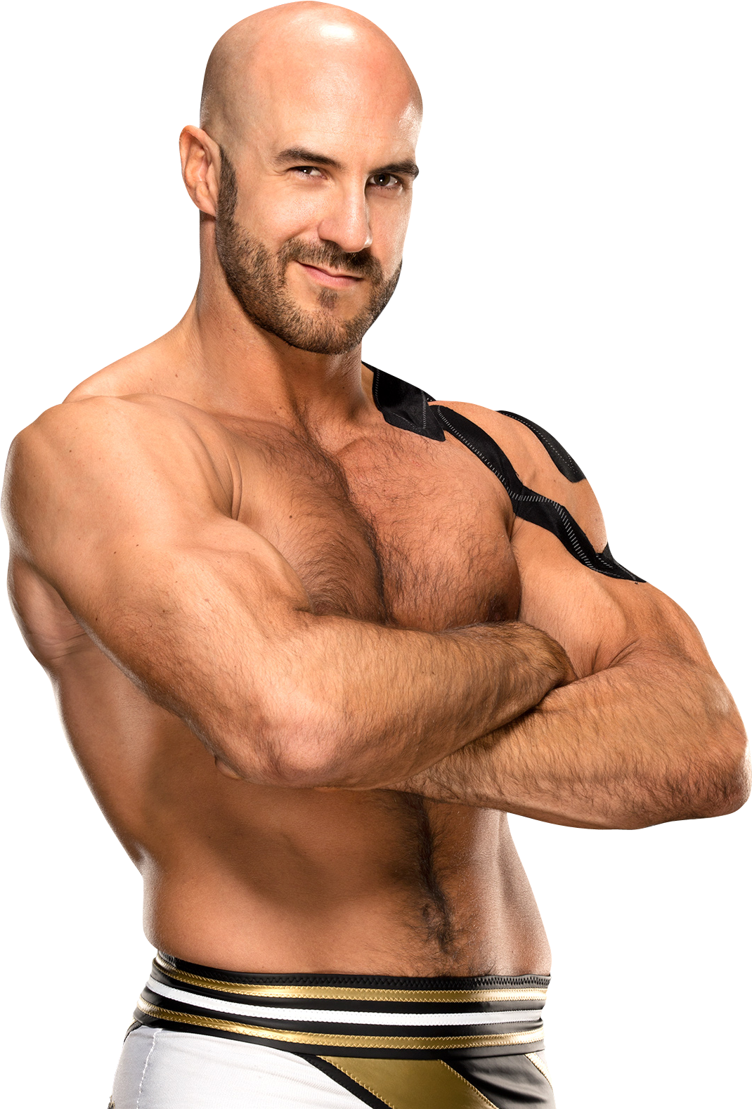Cesaro Png - Cesaro Wwe Champion Png (736x1085), Png Download