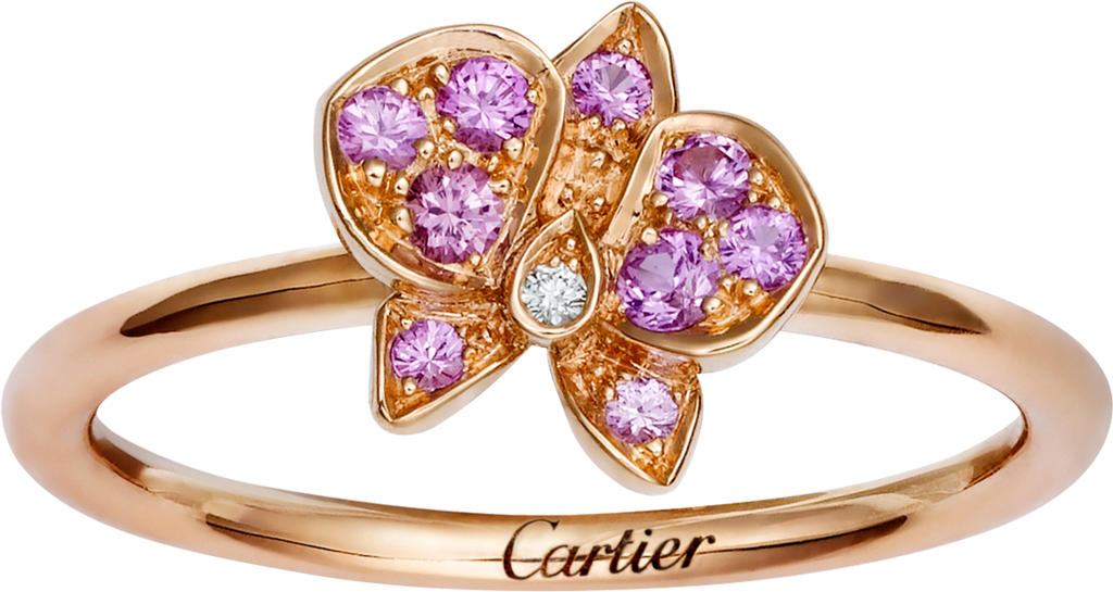 Caresse D'orchidées Par Cartier Ringpink Gold, Pink - Caresse D Orchidées Par Cartier Ring (1024x545), Png Download
