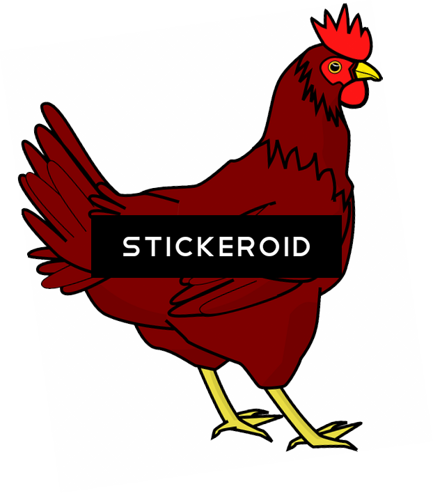 鸡png透明图像 - 鸡 - Chicken Clip Art (622x708), Png Download