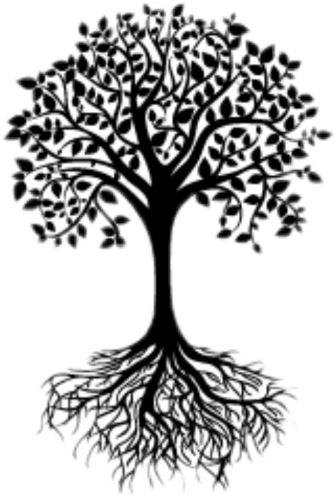 Black And White Tree Silhouette (480x711), Png Download