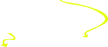 Shenzhen Bay - Wrapping Paper (1600x800), Png Download