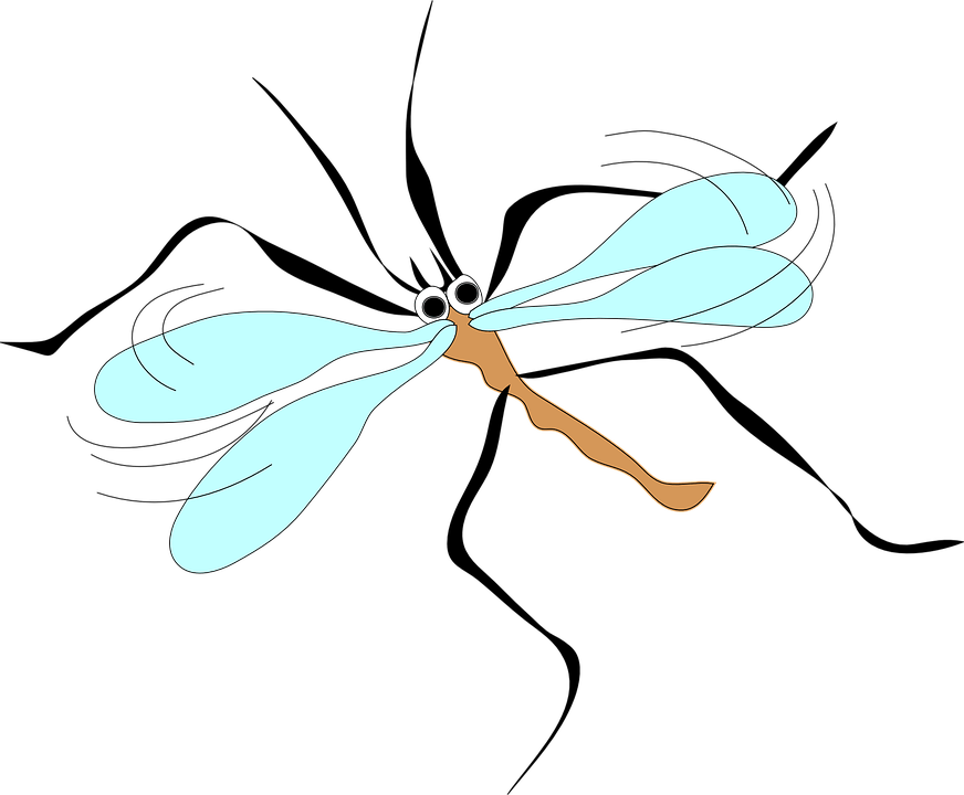 July 4th Weekend Weather Brings Sun, Mosquitoes - Mosquito Clip Art (872x720), Png Download