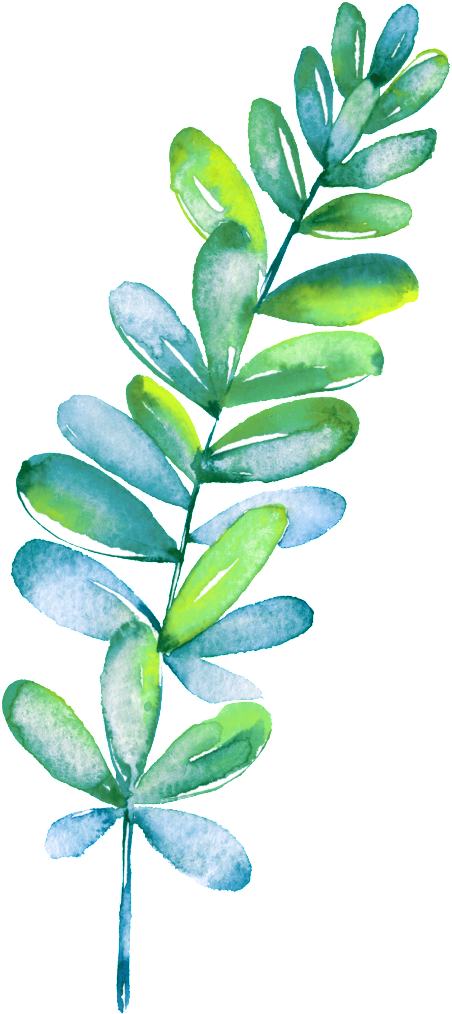 Beautiful Painted Green Plant Vector (1024x1024), Png Download