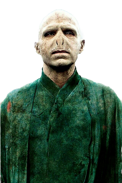 Lord Voldemort (480x720), Png Download