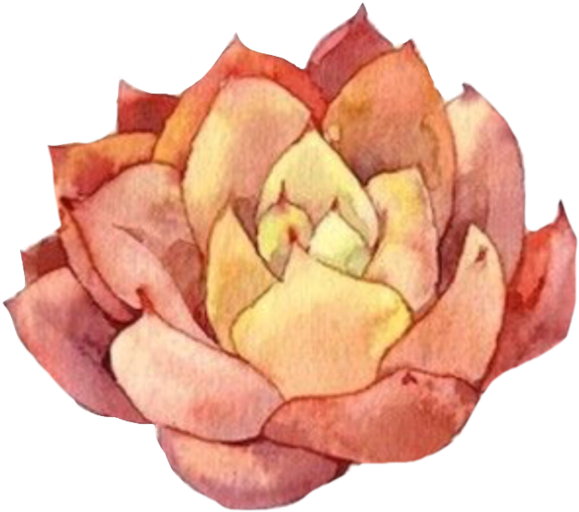 Cactus Desert Plant Rust Nature - Unique Bargains Home Pvc Bonsai Prints Diy Decor Wall (1024x1024), Png Download