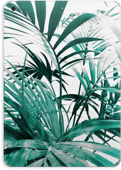 Green Leaves - Iroquoise Snake Silver Ring And Native American Turquoise, (573x800), Png Download