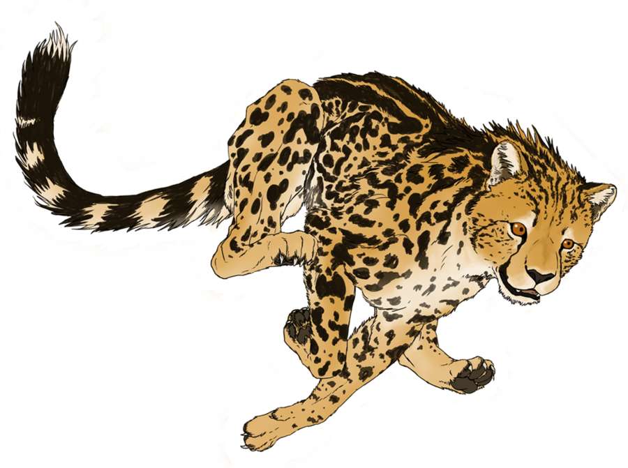 Cheetah Png Transparent Picture - King Cheetah Artwork (900x671), Png Download