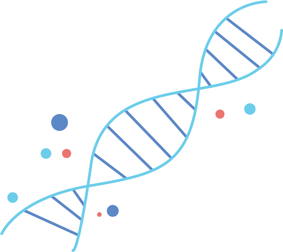 Adapt - Circle (1024x1024), Png Download