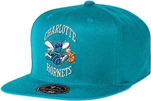 Fitted - Charlotte Hornets (360x440), Png Download