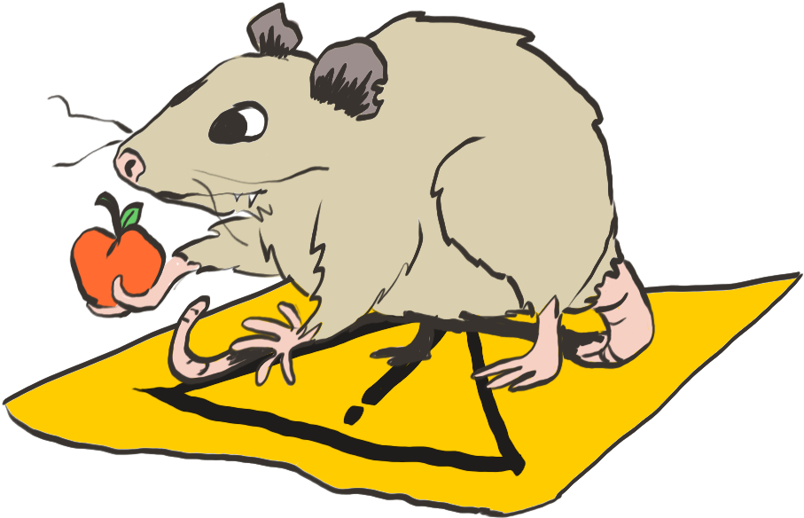 The Caution Possum Doesn't Quite Get It, But He's Trying - Mouse (1000x1000), Png Download