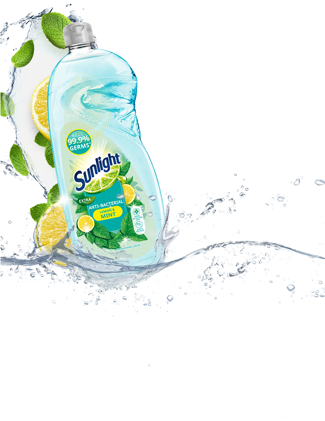 Bacteria (640x850), Png Download