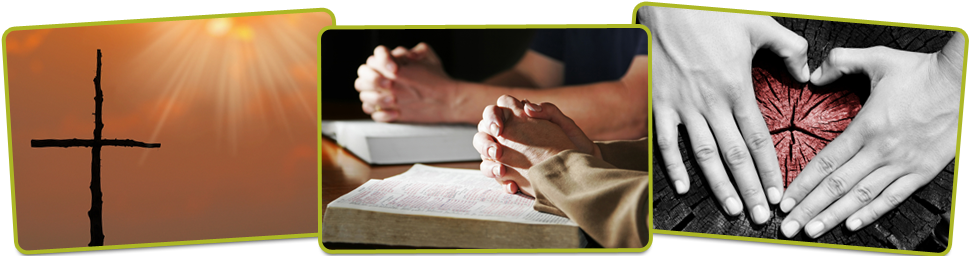 Year Of The Bible: An Enhanced Guide To Reading Scripture (1000x262), Png Download