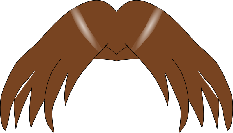 Brown Hair Clipart Transparent Background - Hair Clip Art (800x456), Png Download